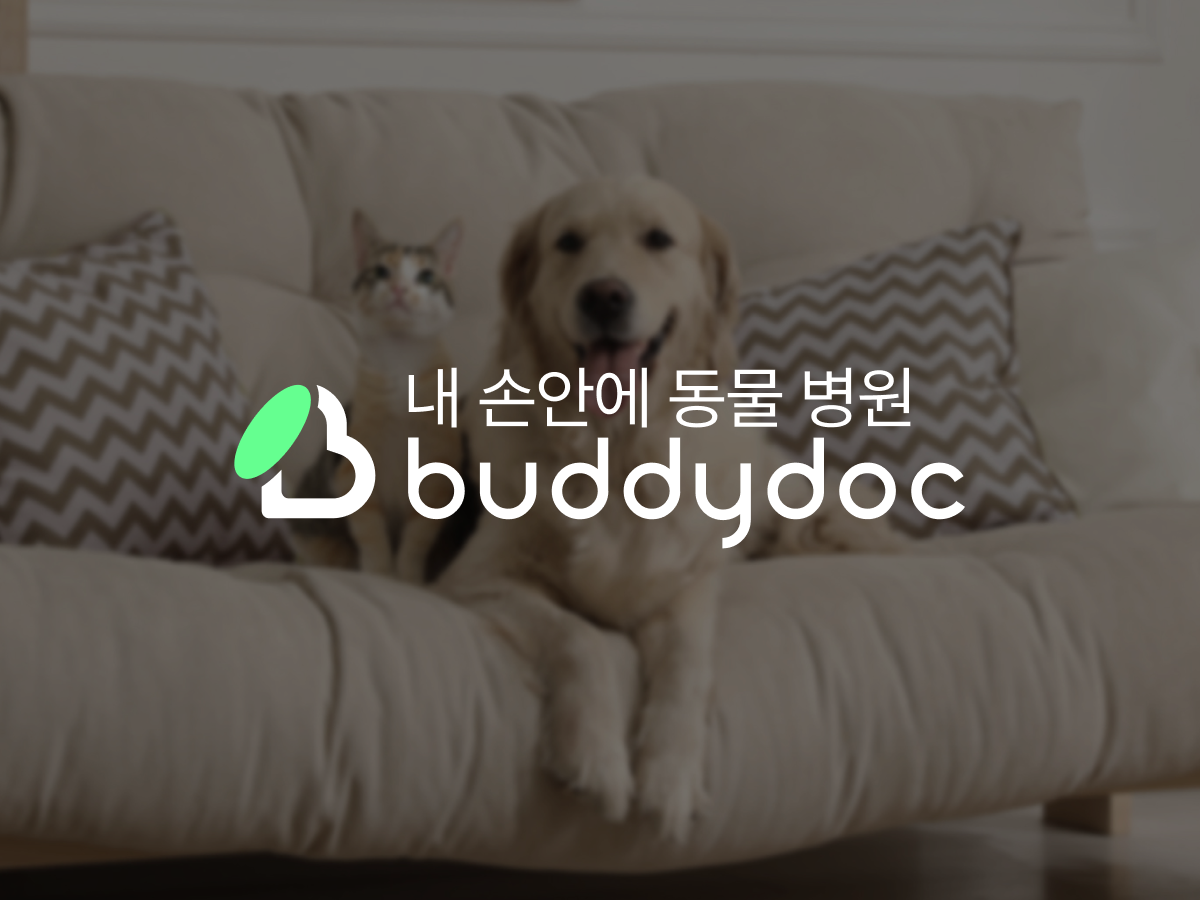 BUDDYLABS